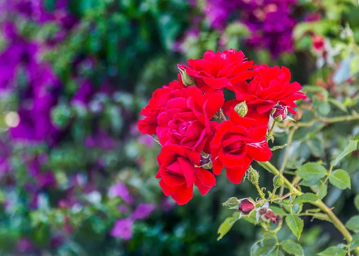 Holiday home In Conil De La Frontera