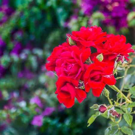 Nyaraló In Conil de la Frontera