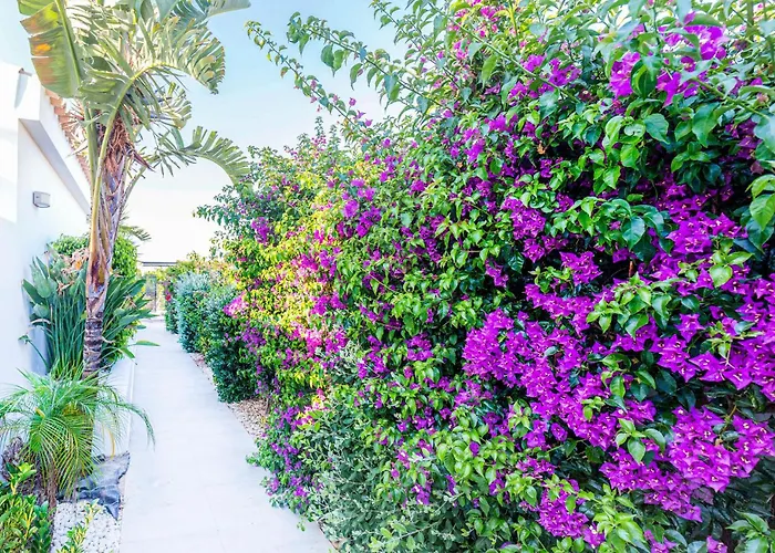 In Conil De La Frontera