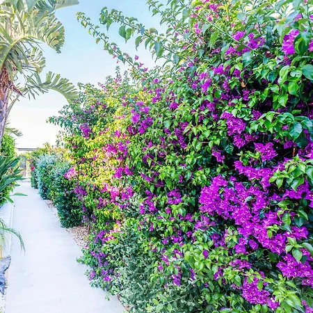 In كونيل ذي لا فرونتيرا